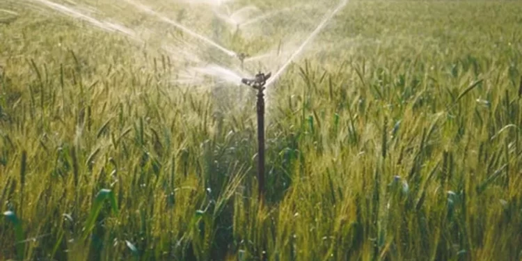 China activates Level III emergency response for major agricultural disasters