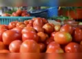 India to import tomatoes from Nepal amid surge in price, says Nirmala Sitharaman