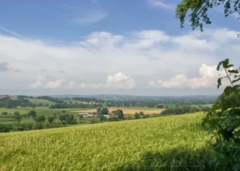 New support for innovative farmers in West Devon and South Hams
