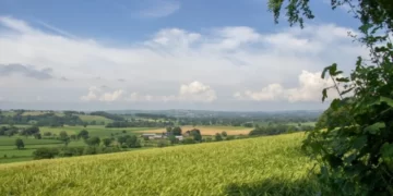 New support for innovative farmers in West Devon and South Hams