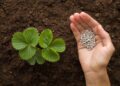 How transitioning from nitrogen fertilisers will decarbonise the Netherlands’ food and agriculture industry
