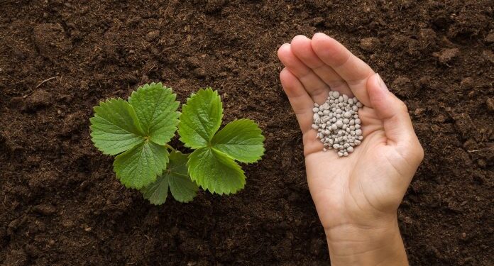 How transitioning from nitrogen fertilisers will decarbonise the Netherlands’ food and agriculture industry