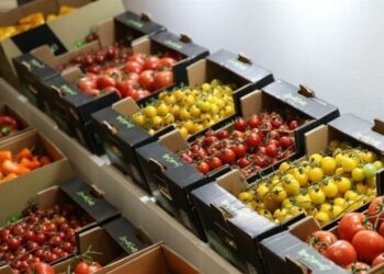Iran’s Agricultural Sector to Apply ‘Metaverse’ to Increase Productivity