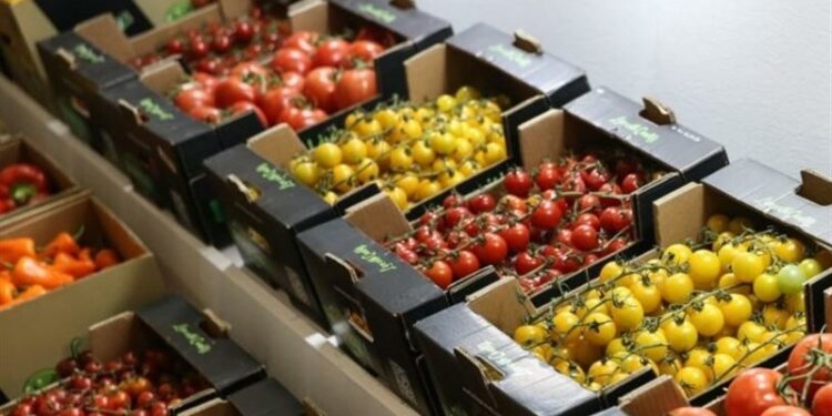 Iran’s Agricultural Sector to Apply ‘Metaverse’ to Increase Productivity