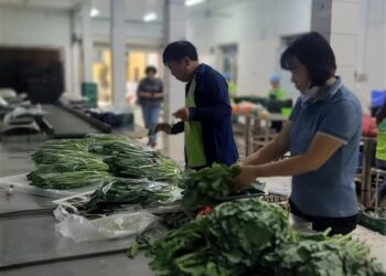 Capital city to become an agriculture hub
