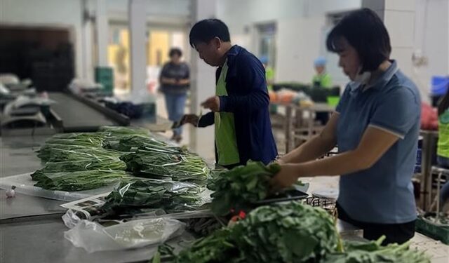 Capital city to become an agriculture hub