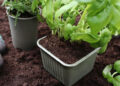Bioplastics Manufacturer Gaia Biomaterials Secure $5 Million Rights Issue.