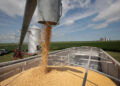 U.S. Department of Agriculture to fund $300 million in grants to boost exports
