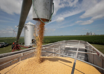 U.S. Department of Agriculture to fund $300 million in grants to boost exports