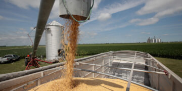 U.S. Department of Agriculture to fund $300 million in grants to boost exports