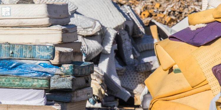 Ecomaison, Covestro, Secondly and Federal Eco Foam Launch Research Project