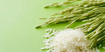 Rice Bran Wax: A Sustainable And Superior Alternative To Montan Wax