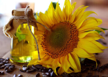 Agriculture Ministry Launches First-Ever Edible Oil Consumption Survey