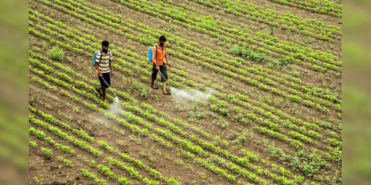 Google Building Digital Agri Stack For India Using Satellite Imagery