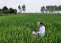 BII to support the future of farming in India
