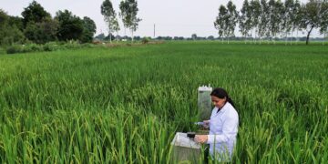 BII to support the future of farming in India