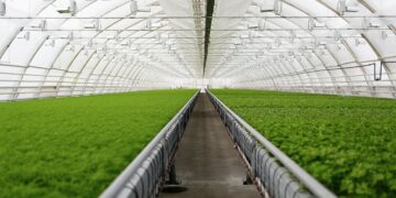 India to Host Its First International Agri Hackathon in Pune, June 1–3, 2025