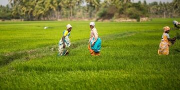 Indian Agriculture Market Set to Reach ₹38 Lakh Crore by FY30: Report