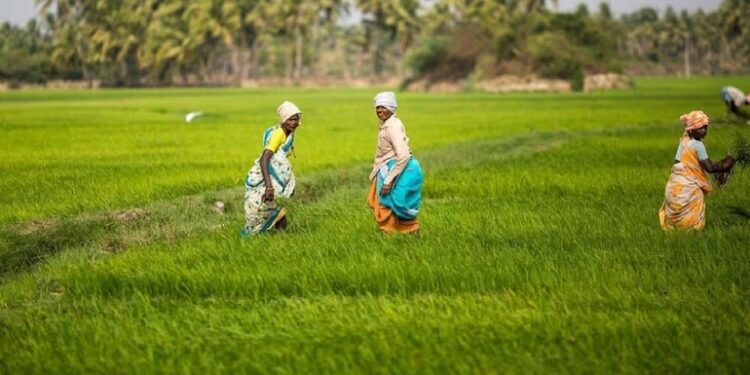 Indian Agriculture Market Set to Reach ₹38 Lakh Crore by FY30: Report