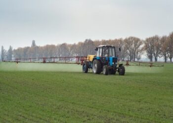 Maharashtra’s Economy Set to Grow at 7.3% in 2024-25, with Agriculture Sector Expanding by 8.7%