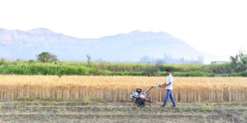 Transforming Agriculture with STIHL India’s Farm Mechanization Equipment