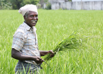 AgriBee Seeds Pvt Ltd: Driving Agricultural Innovation and Farmer Empowerment Across India