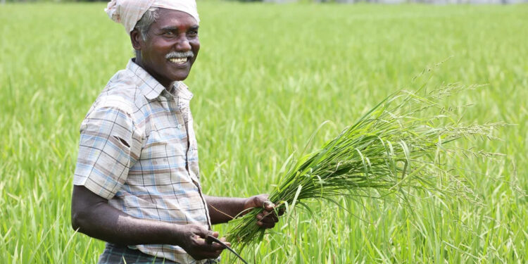 AgriBee Seeds Pvt Ltd: Driving Agricultural Innovation and Farmer Empowerment Across India