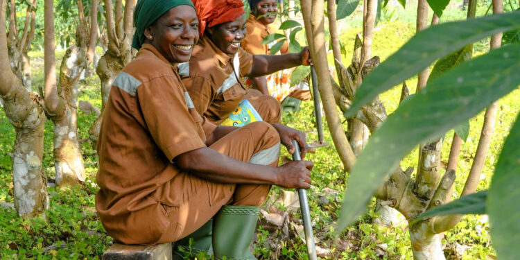 KOLTIVA At Agri Vietnam 2025: Advancing Traceable And Sustainable Agribusiness Across Asia Pacific