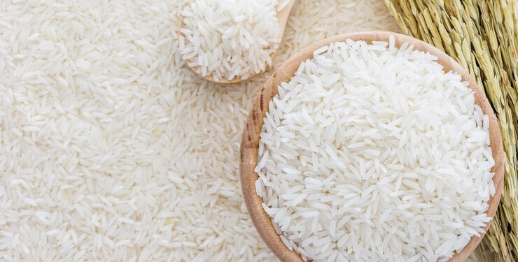 Trimax International: 42 Years Of Unmatched Success In Rice Milling & Export