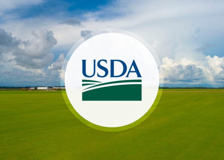 U.S. Secretary Of Agriculture Brooke L. Rollins Statement On President Donald J. Trump’s Support For The Nationwide Year-Round Sale Of E-15