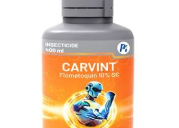 PI Industries Introduces CARVINT, a Next-Generation Insecticide for Advanced Pest Management in India