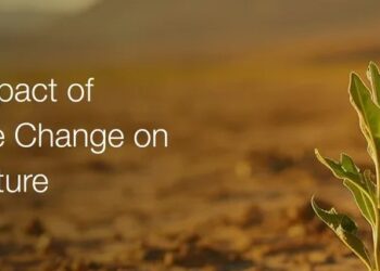FAO Calls for Better Climate Finance to Strengthen Global Agrifood Systems