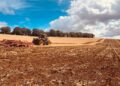 Rising Fuel and Fertiliser Costs Put UK Farmers Under Pressure, Raising Concerns Over Food Security